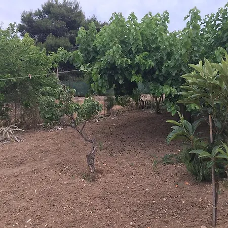 Bed & Breakfast La Bianca Scogliera