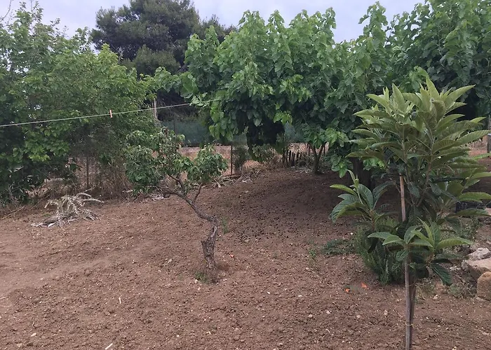 Bed & Breakfast La Bianca Scogliera