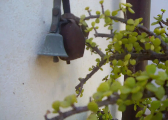 La Bianca Scogliera 3* Реальмонте